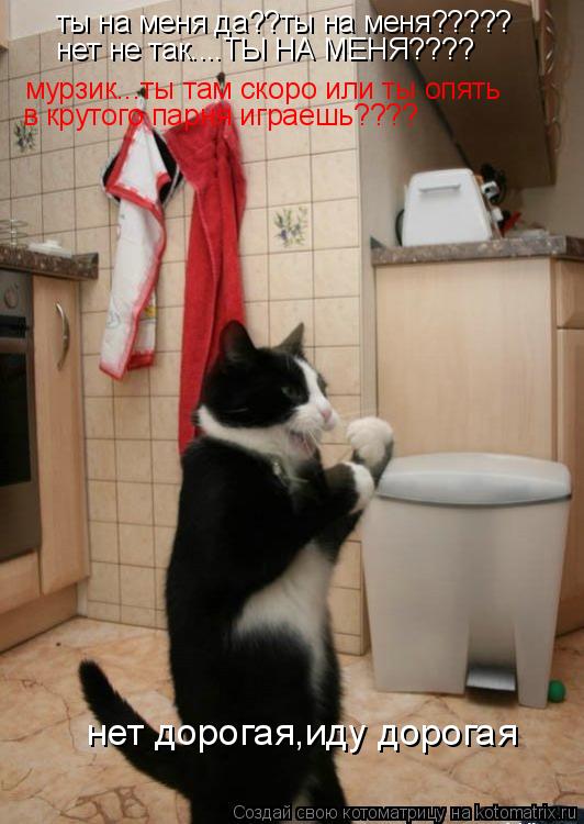 Котоматрица: ты на меня да??ты на меня????? нет не так....ТЫ НА МЕНЯ???? мурзик...ты там скоро или ты опять в крутого парня играешь???? нет дорогая,иду дорогая