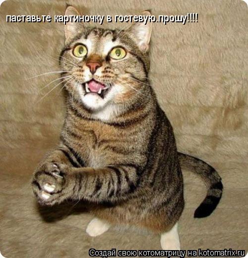 Котоматрица: паставьте картиночку в гостевую.прошу!!!! паставьте картиночку в гостевую.прошу!!!! паставьте картиночку в гостевую.прошу!!!!