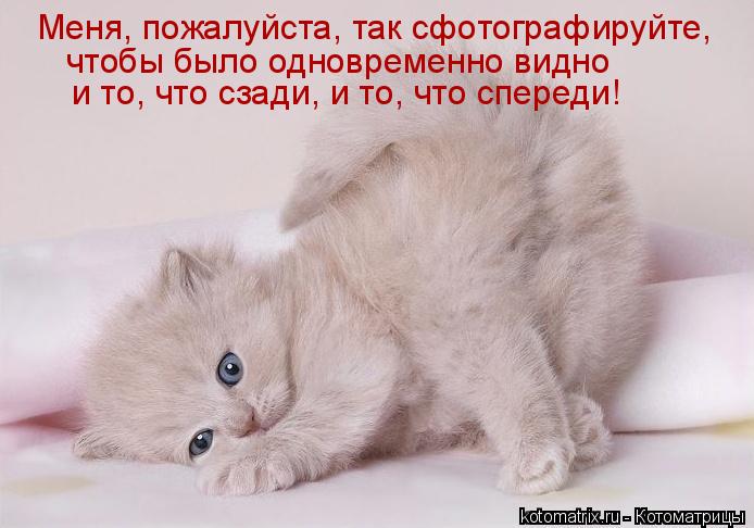 Меня, пожалуйста, так сфотографируйте, чтобы было одновременно видно и то, что сзади, и то, что спе... Котоматрица: Меня, пожалуйста, так сфотографируйте, чтобы было одновременно видно и то, что сзади, и то, что спереди!