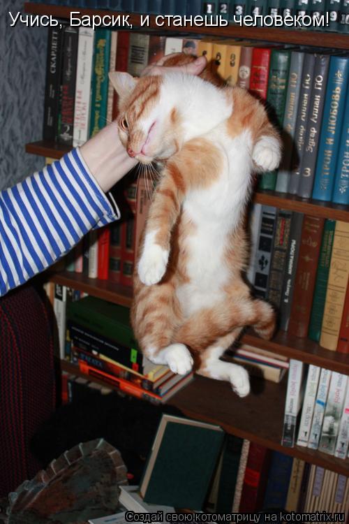 Котоматрица: Учись, Барсик, и станешь человеком!