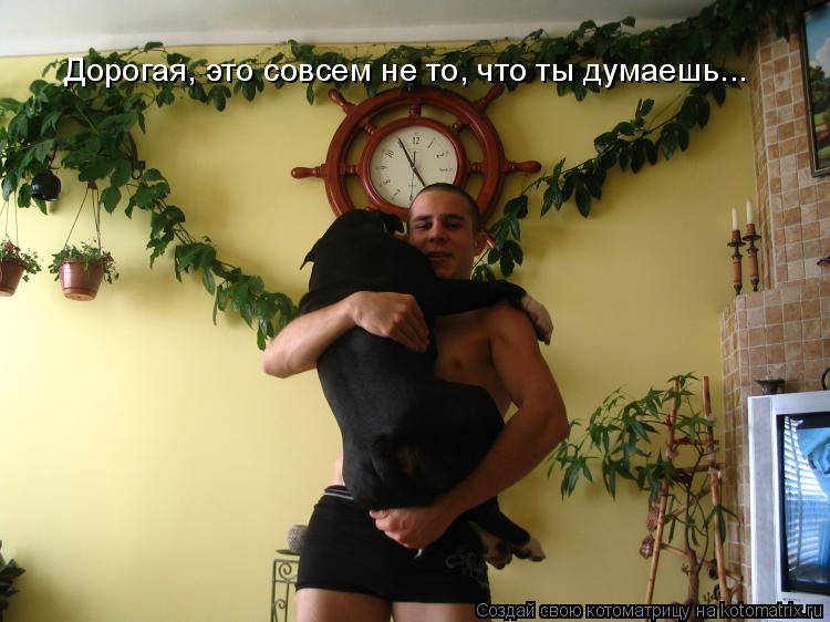 Котоматрица: Дорогая, это совсем не то, что ты думаешь...