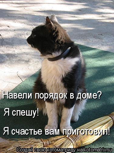 Котоматрица: Навели порядок в доме? Я спешу! Я счастье вам приготовил!