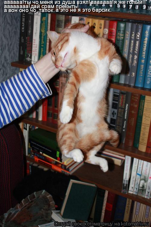 Котоматрица: аааааа!ты чо меня из душа взял!ааааааа!я же голый!! аааааааа!дай срам прекыть! а вон оно чо ,тапок. а это не я это барсик.