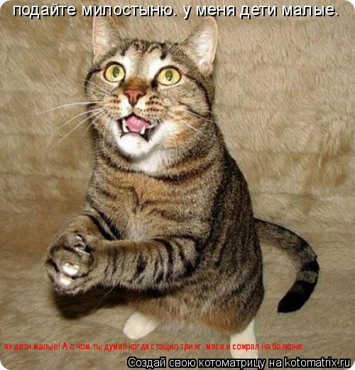 Котоматрица: подайте милостыню. у меня дети малые. ах дети малые! А о чом ты думал когда стащил три кг. мяса и сожрал на балконе ах дети малые! А о чом ты дум