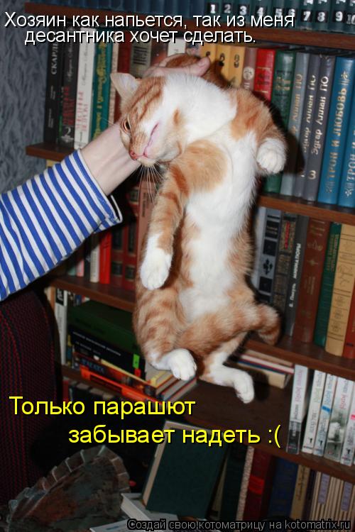 Котоматрица: Хозяин как напьется, так из меня десантника хочет сделать. Только парашют забывает надеть :(