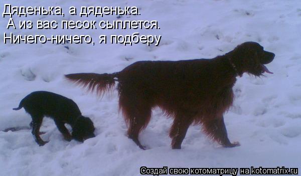 Котоматрица: Дяденька, а дяденька.  А из вас песок сыплется. Ничего-ничего, я подберу