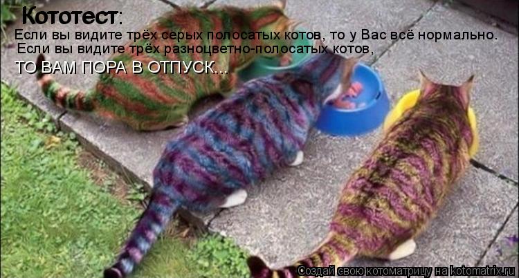 Кототест Кототест: Если вы видите трёх серых полосатых котов, то у Вас всё нормально. Если вы видите ... Котоматрица: Кототест Кототест: Если вы видите трёх серых полосатых котов, то у Вас всё нормально. Если вы видите трёх разноцветно-полосатых котов, ТО ВА