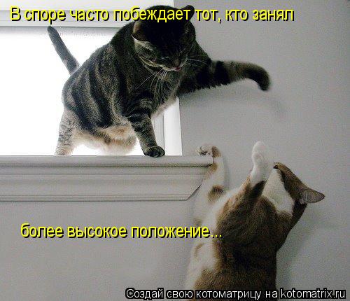 Котоматрица: В споре часто побеждает тот, кто занял более высокое положение...