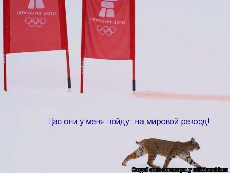 Котоматрица: Щас они у меня пойдут на мировой рекорд!