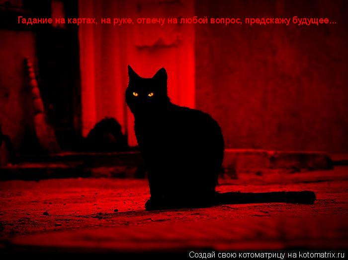 Котоматрица: Гадание на картах, на руке, отвечу на любой вопрос, предскажу будущее...