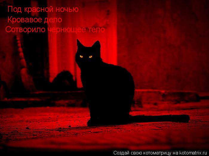 Котоматрица: Под красной ночью Кровавое дело Сотворило чернющее тело