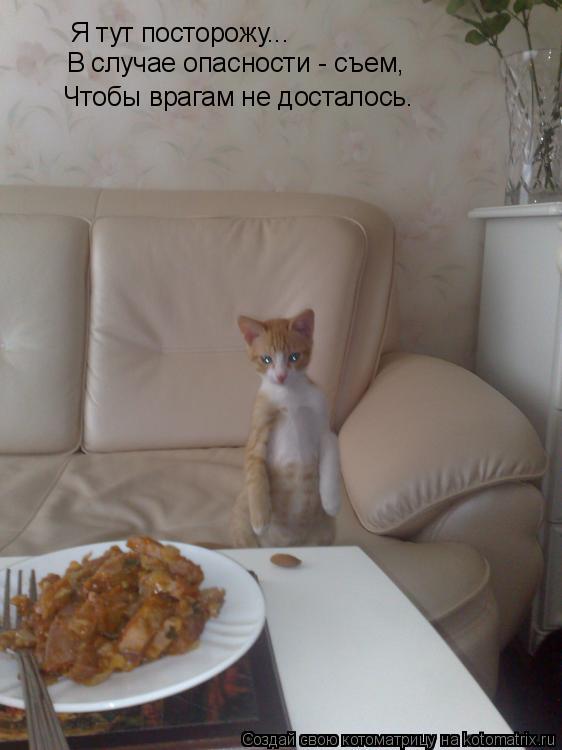Котоматрица: Я тут посторожу... В случае опасности - съем, Чтобы врагам не досталось.