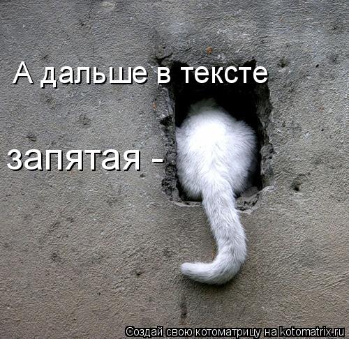 Котоматрица: А дальше в тексте запятая -