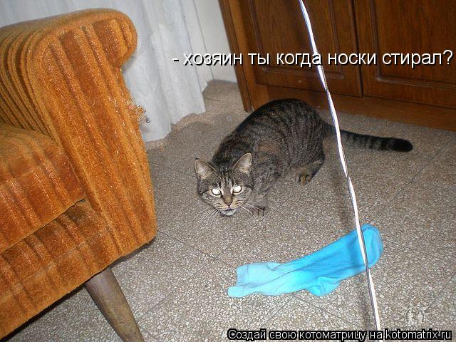 Котоматрица: - хозяин ты когда носки стирал?