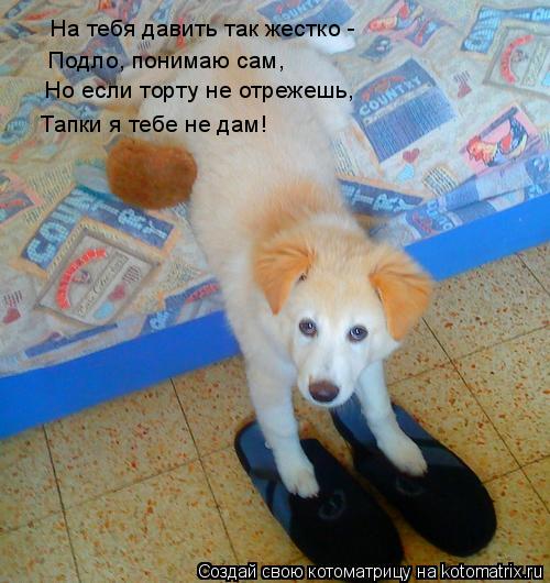 Котоматрица: На тебя давить так жестко - Подло, понимаю сам, Но если торту не отрежешь, Тапки я тебе не дам!