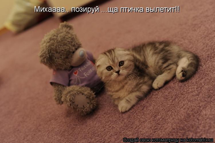 Котоматрица: Михаааа.. позируй ...ща птичка вылетит!!