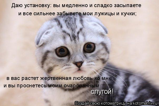Котоматрица: Даю установку: вы медленно и сладко засыпаете и все сильнее забывете мои лужицы и кучки; в вас растет жертвенная любовь ко мне и вы проснете
