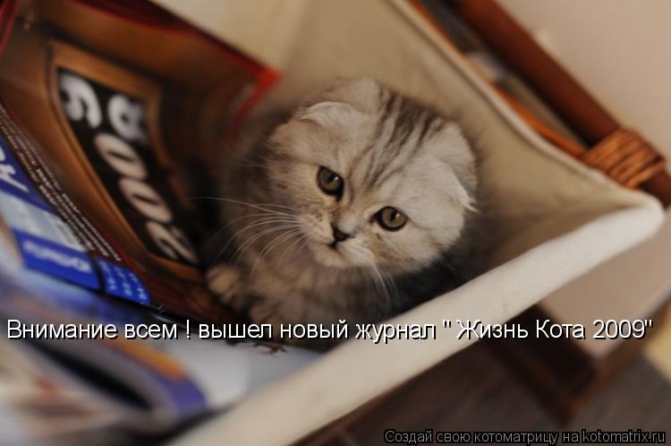 Котоматрица: Внимание всем ! вышел новый журнал " Жизнь Кота 2009"