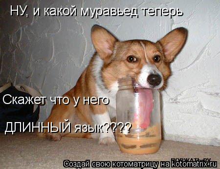 Котоматрица: НУ, и какой муравьед теперь Скажет что у него ДЛИННЫЙ язык????