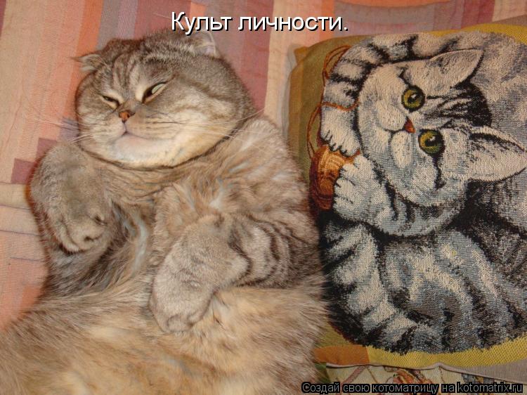 Культ личности.... Котоматрица: Культ личности.