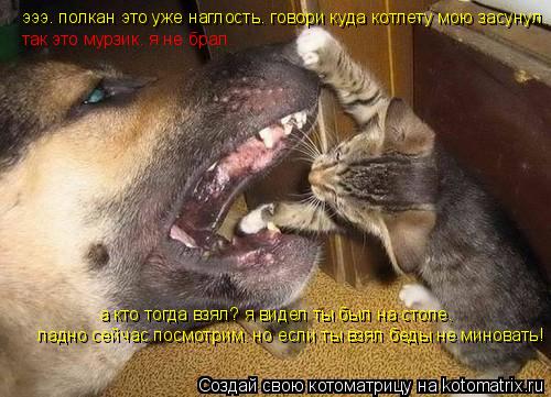 эээ. полкан это уже наглость. говори куда котлету мою засунул. так это мурзик. я не брал. а кто тогда... Котоматрица: эээ. полкан это уже наглость. говори куда котлету мою засунул. так это мурзик. я не брал. а кто тогда взял? я видел ты был на столе. ладно сейча