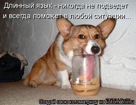 Котоматрица: Длинный язык - никогда не подведет и всегда поможет в любой ситуации...