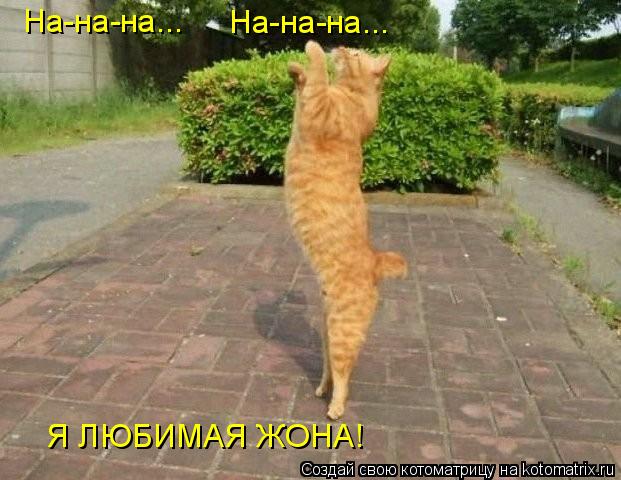 Котоматрица: На-на-на... На-на-на...   Я ЛЮБИМАЯ ЖОНА!