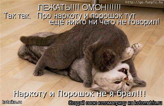Котоматрица: ЛЕЖАТЬ!!!! ОМОН!!!!!! Наркоту и Порошок не я брал!!! Так так. Про наркоту и порошок тут еще никто ни чего не говорил!