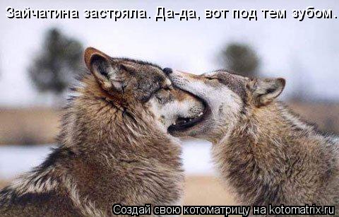 Котоматрица: Зайчатина застряла. Да-да, вот под тем зубом.