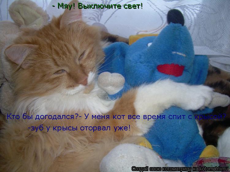 Котоматрица: Кто бы догодался?- У меня кот все время спит с крысой? -зуб у крысы оторвал уже! - Мяу! Выключите свет!