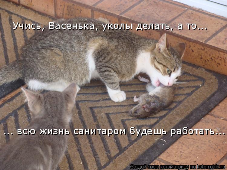 Учись, Васенька, уколы делать, а то... ... всю жизнь санитаром будешь работать...... Котоматрица: Учись, Васенька, уколы делать, а то... ... всю жизнь санитаром будешь работать...