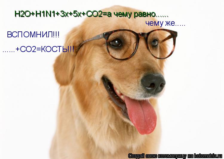 Котоматрица: H2O+H1N1+3x+5x+CO2=а чему равно...... чему же..... ВСПОМНИЛ!!! ......+CO2=КОСТЬ!!!