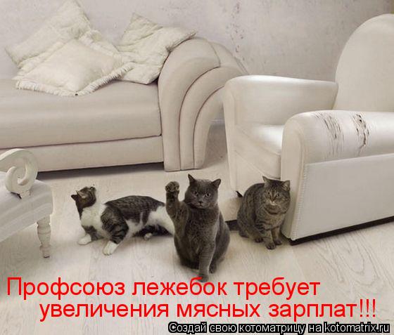 Профсоюз лежебок требует увеличения мясных зарплат!!!... Котоматрица: Профсоюз лежебок требует увеличения мясных зарплат!!!
