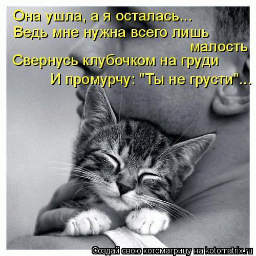 Котоматрица: Она ушла, а я осталась... Ведь мне нужна всего лишь малость Свернусь клубочком на груди И промурчу: "Ты не грусти"...