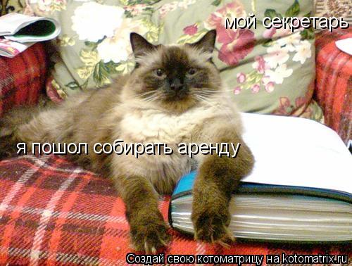 я пошол собирать аренду мой секретарь... Котоматрица: я пошол собирать аренду мой секретарь