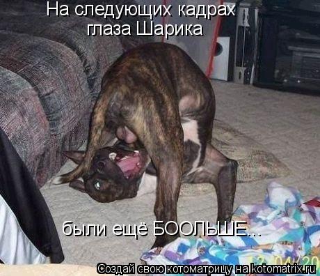 На следующих кадрах глаза Шарика были ещё БООЛЬШЕ...... Котоматрица: На следующих кадрах глаза Шарика были ещё БООЛЬШЕ...