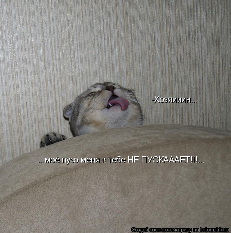 Котоматрица: -Хозяииин... ...моё пузо меня к тебе НЕ ПУСКАААЕТ!!!...