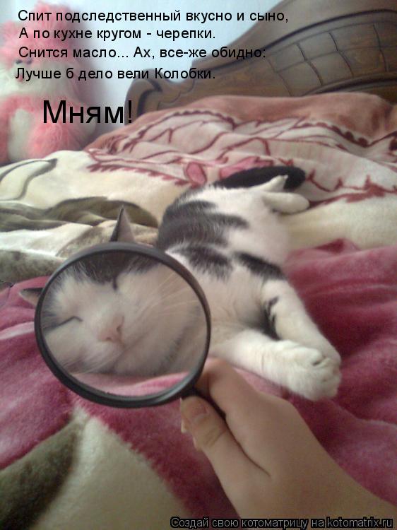 Котоматрица: Спит подследственный вкусно и сыно, А по кухне кругом - черепки. Снится масло... Ах, все-же обидно: Лучше б дело вели Колобки. Мням!