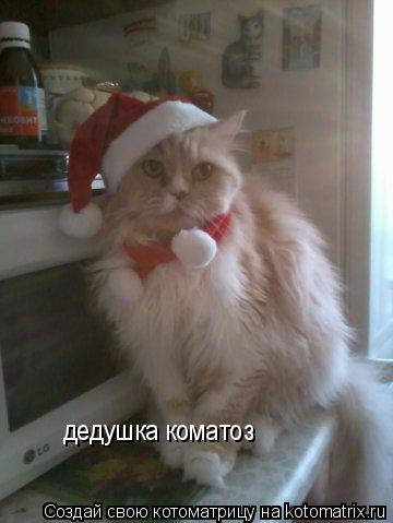 Котоматрица: дедушка коматоз