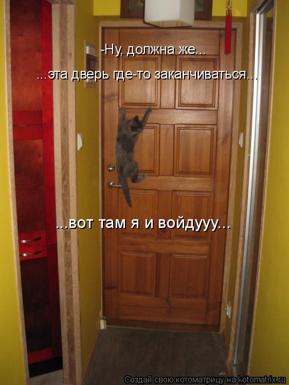 Котоматрица: -Ну, должна же...  ...эта дверь где-то заканчиваться...  ...вот там я и войдууу...