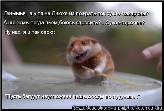 Котоматрица: Геныыыч, а у тя на Днюхе из пожрать ток сухие макароны? А шо ж мы тогда пьём,боюсь спросить?...Сухое горючее? Ну нах, я и так спою:  "Пусть бегууу