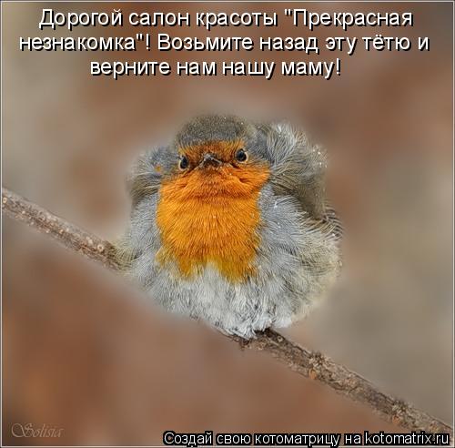 Котоматрица: Дорогой салон красоты "Прекрасная  незнакомка"! Возьмите назад эту тётю и  верните нам нашу маму!