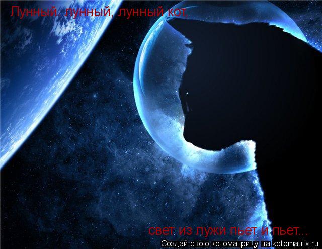 Котоматрица: Лунный. лунный, лунный кот, свет из лужи пьет и пьет...