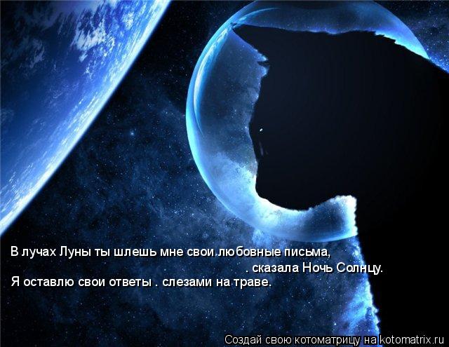 Котоматрица: «В лучах Луны ты шлешь мне свои любовные письма,  — сказала Ночь Солнцу. Я оставлю свои ответы — слезами на траве.»