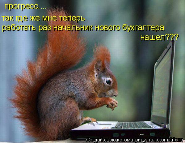 Котоматрица: прогресс.... так где же мне теперь работать раз начальник нового бухгалтера работать раз нанашел нашел???