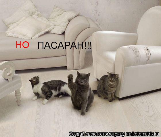 Котоматрица: НО ПАСАРАН!!!