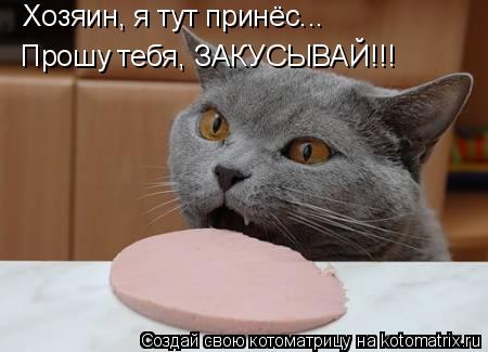 Котоматрица: Хозяин, я тут принёс... Прошу тебя, ЗАКУСЫВАЙ!!!