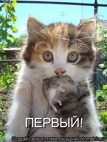 Котоматрица: ПЕРВЫЙ!