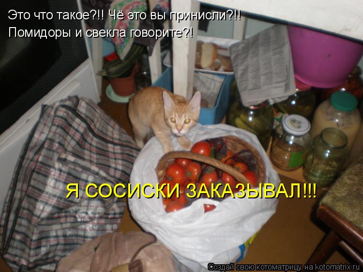 Котоматрица: Это что такое?!! Чё это вы принисли?!! Помидоры и свекла говорите?! Я СОСИСКИ ЗАКАЗЫВАЛ!!!