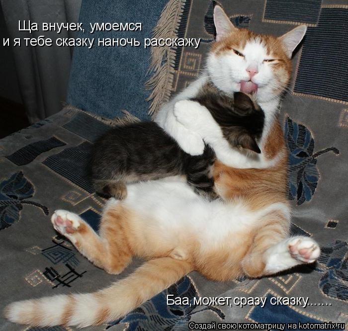 Котоматрица: Ща внучек, умоемся и я тебе сказку наночь расскажу Баа,может,сразу сказку.......